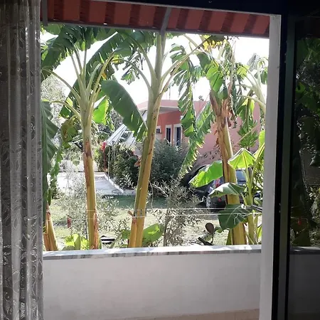 Bed & Breakfast Dhoma Plazhi Fredi Ylli *