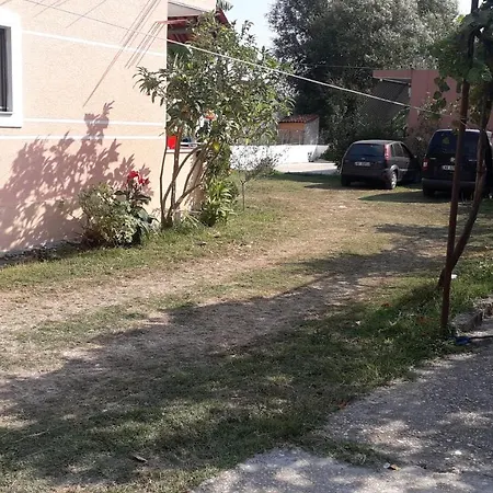 Dhoma Plazhi Fredi Ylli *