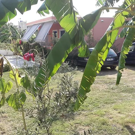 Dhoma Plazhi Fredi Ylli Alojamento de Acomodação e Pequeno-almoço *